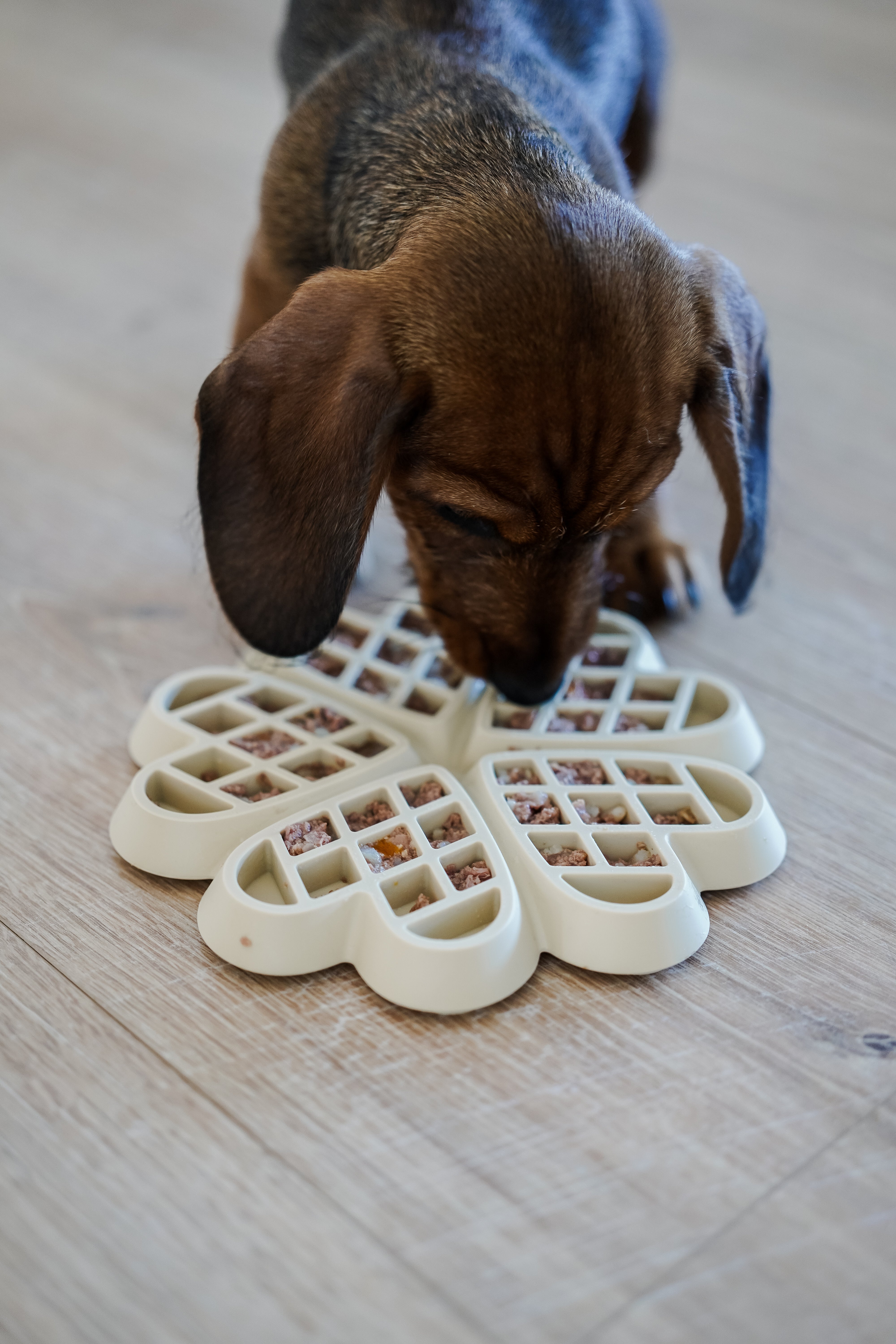 Schleckmatte Waffel