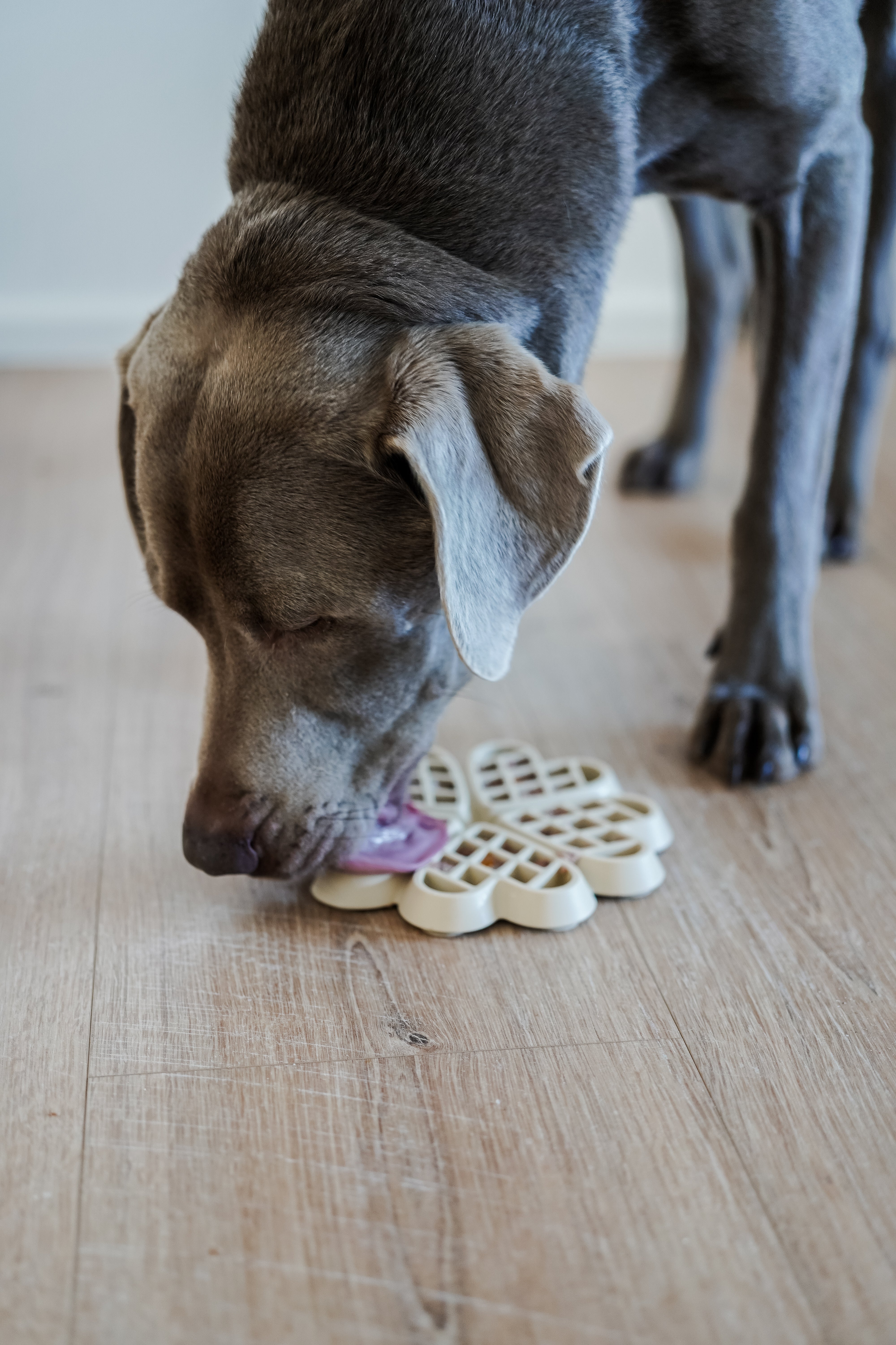 Schleckmatte Waffel