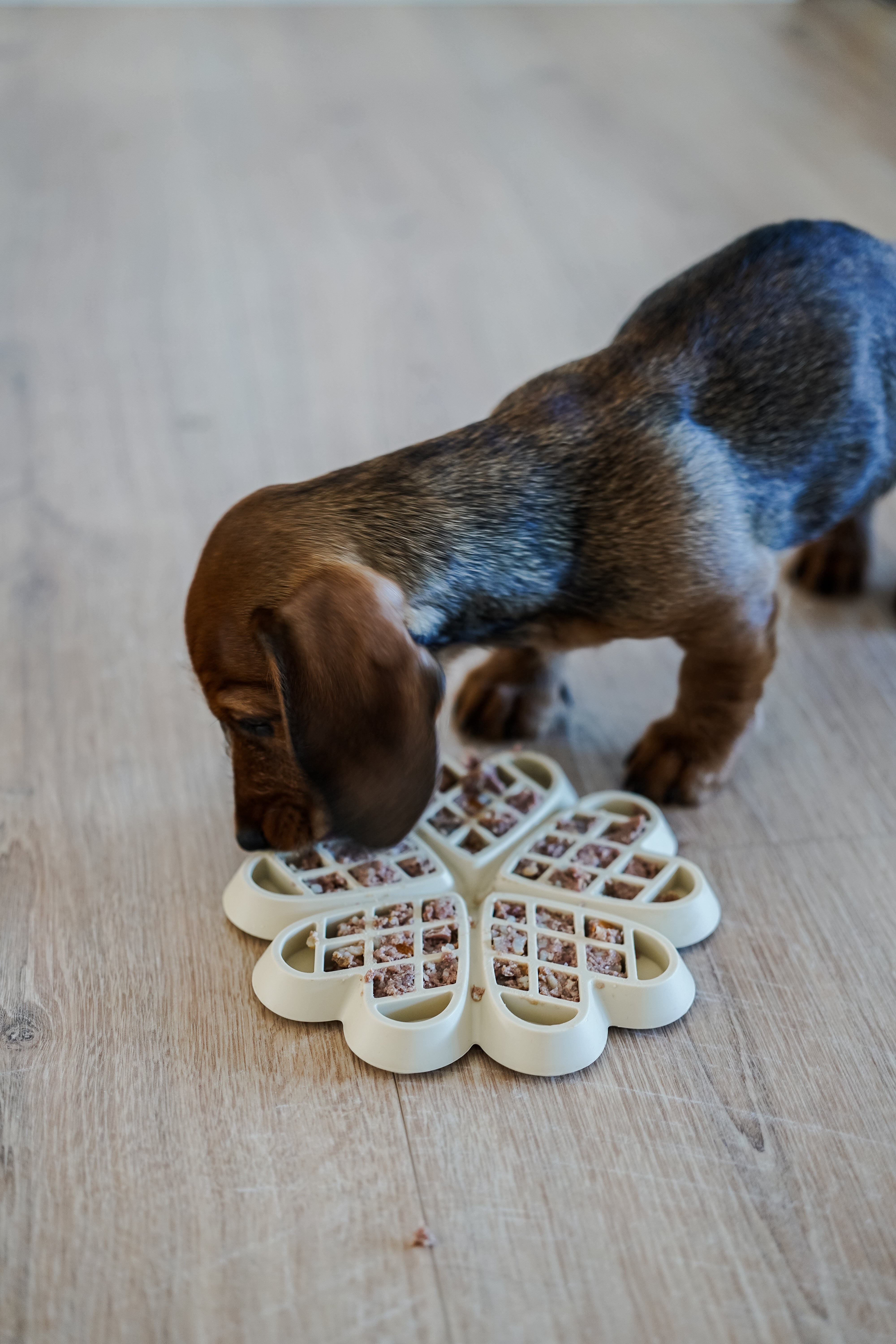 Schleckmatte Waffel