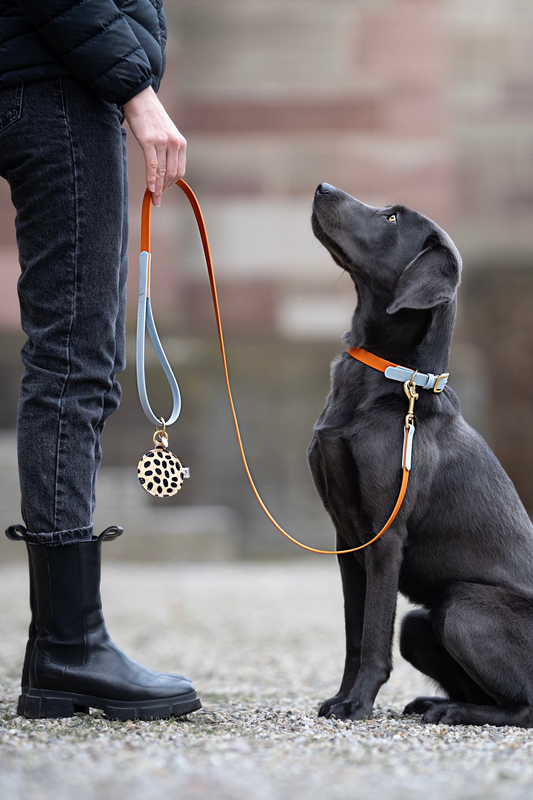 <transcy>Biothane leash Classic</transcy>