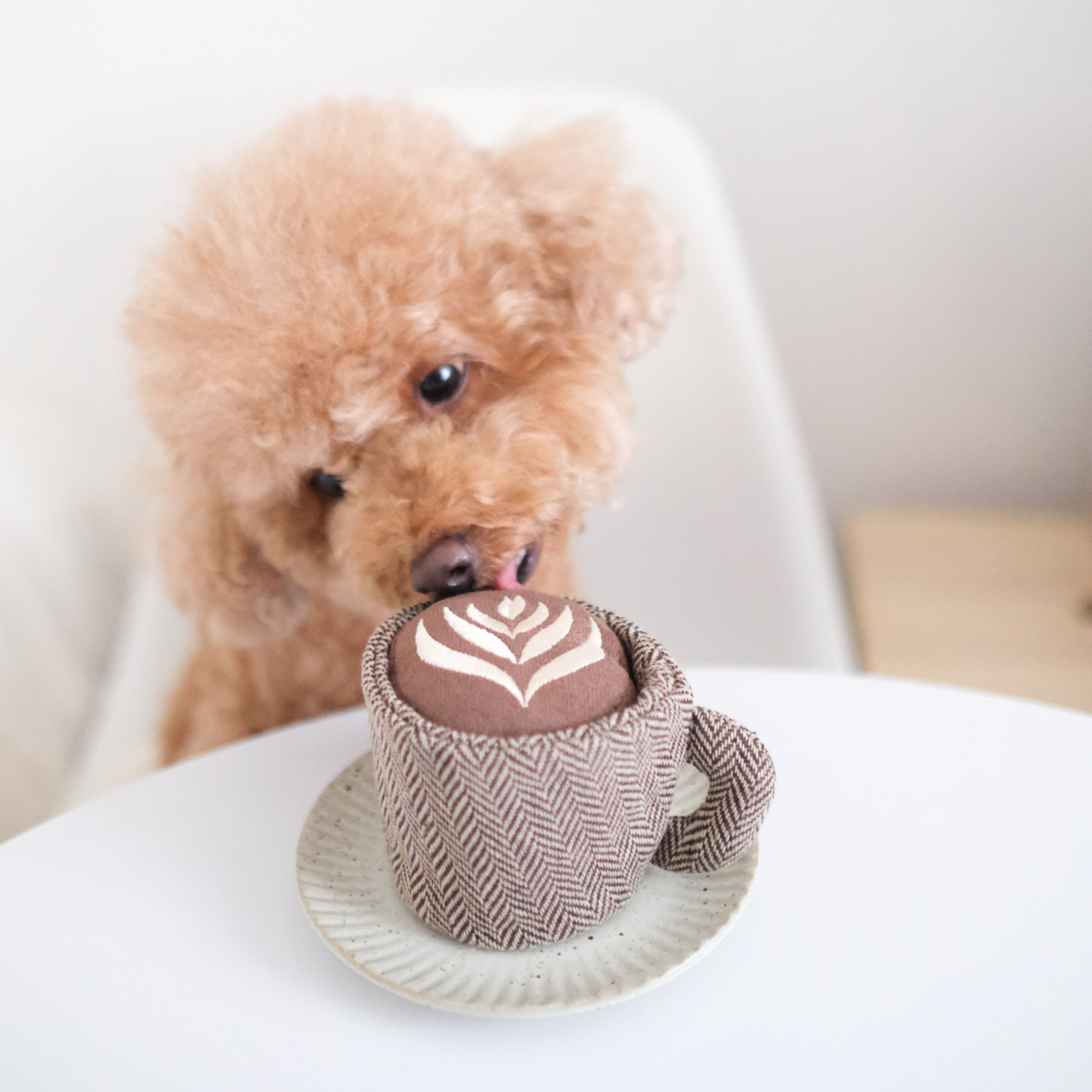 LATTE POP Schnüffelspielzeug