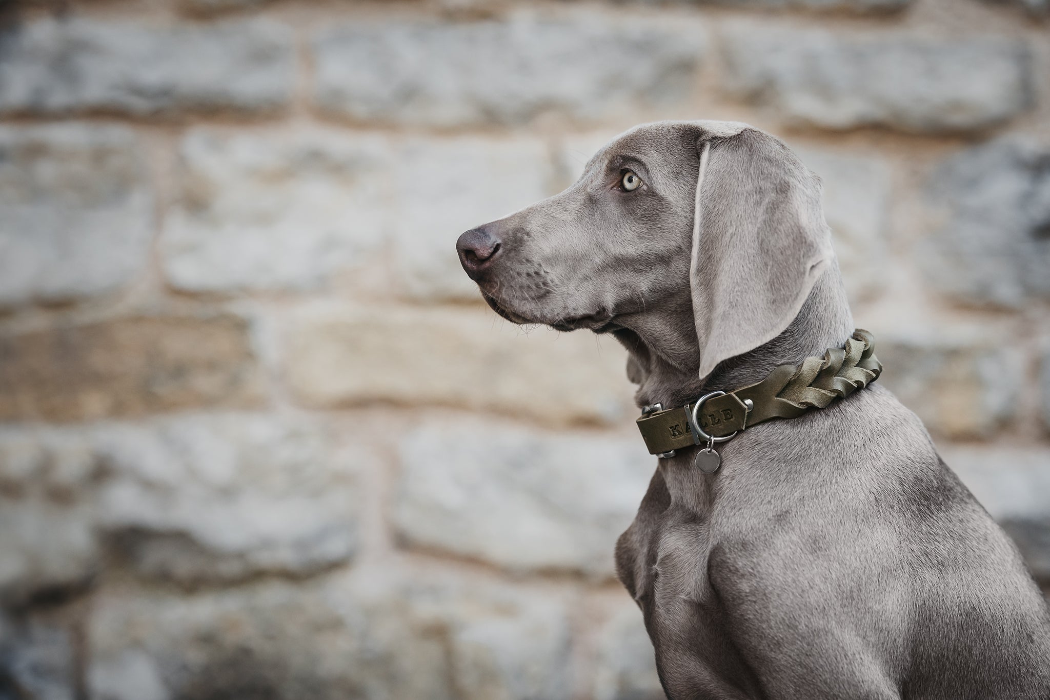 <transcy>Braided fat leather collar</transcy>