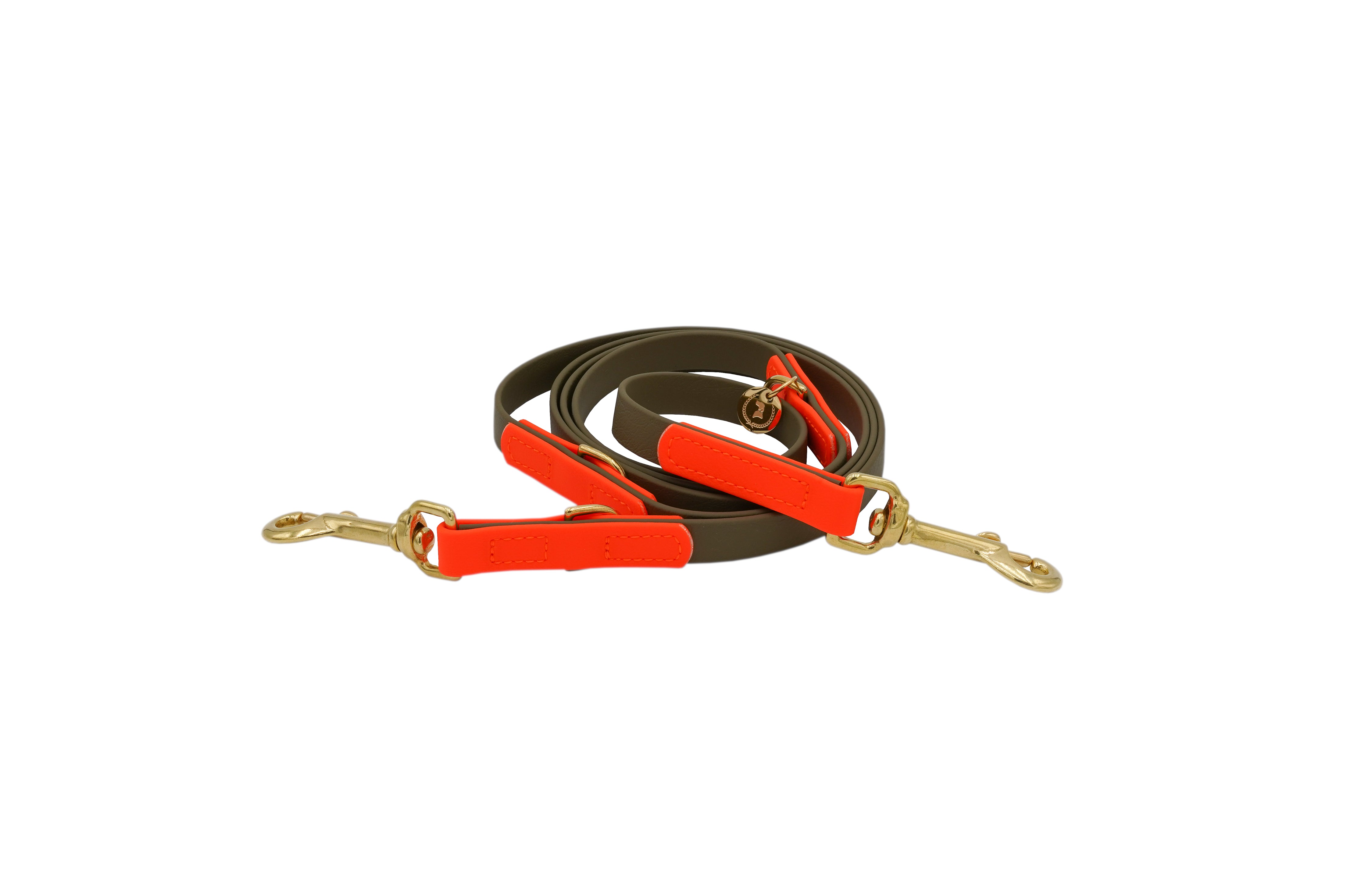 <transcy>Biothane leash Classic</transcy>